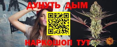 стафф Шебекино