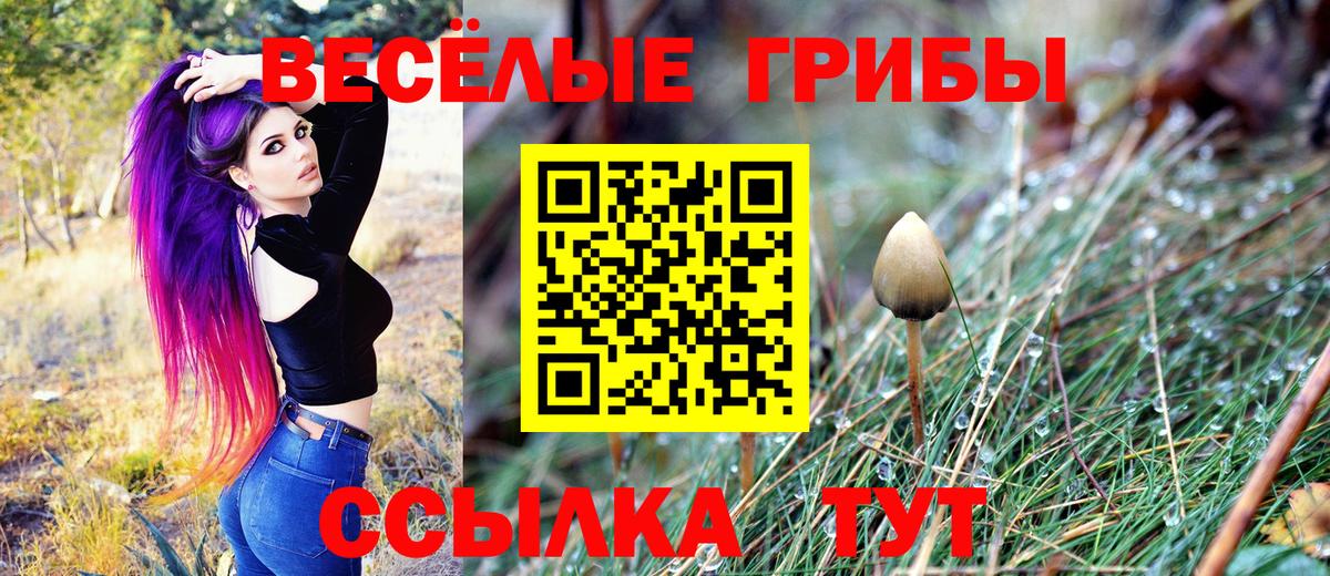 Галлюциногенные грибы ЛСД Хабаровск