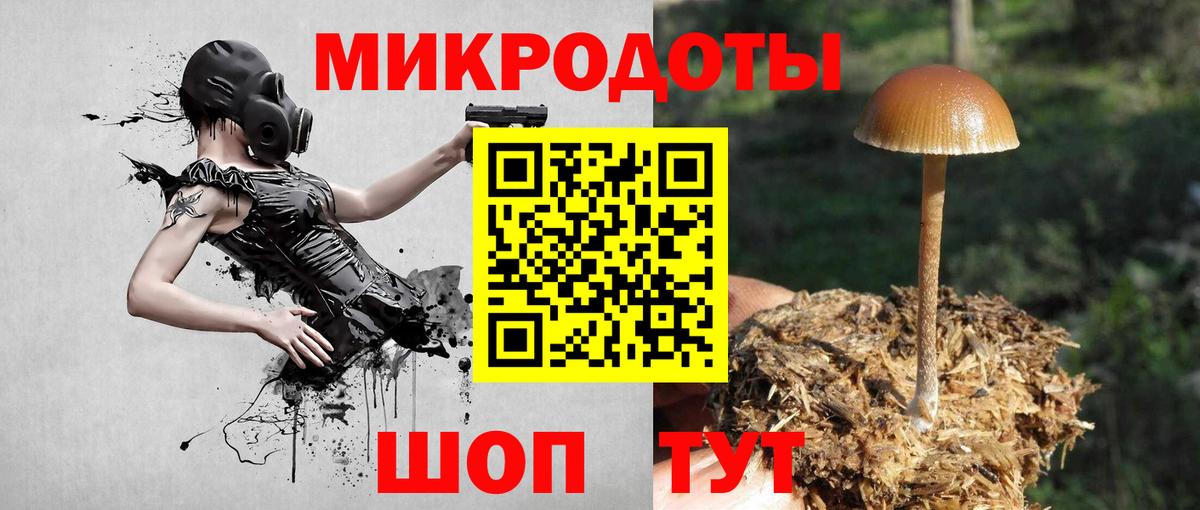Галлюциногенные грибы MAGIC MUSHROOMS  Вход с VPN  как найти закладки  Псилоцибиновые грибы ЛСД  Хабаровск 